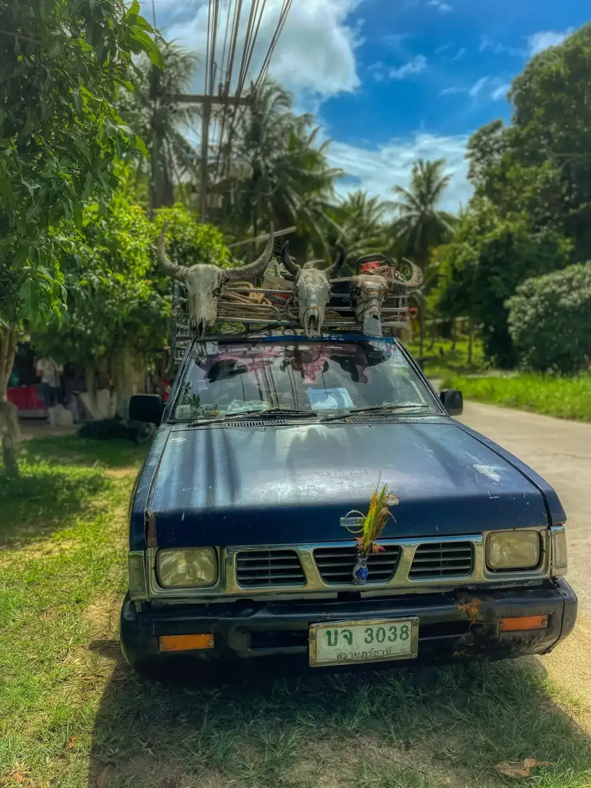 Crazy Full Moon Party Taxi
