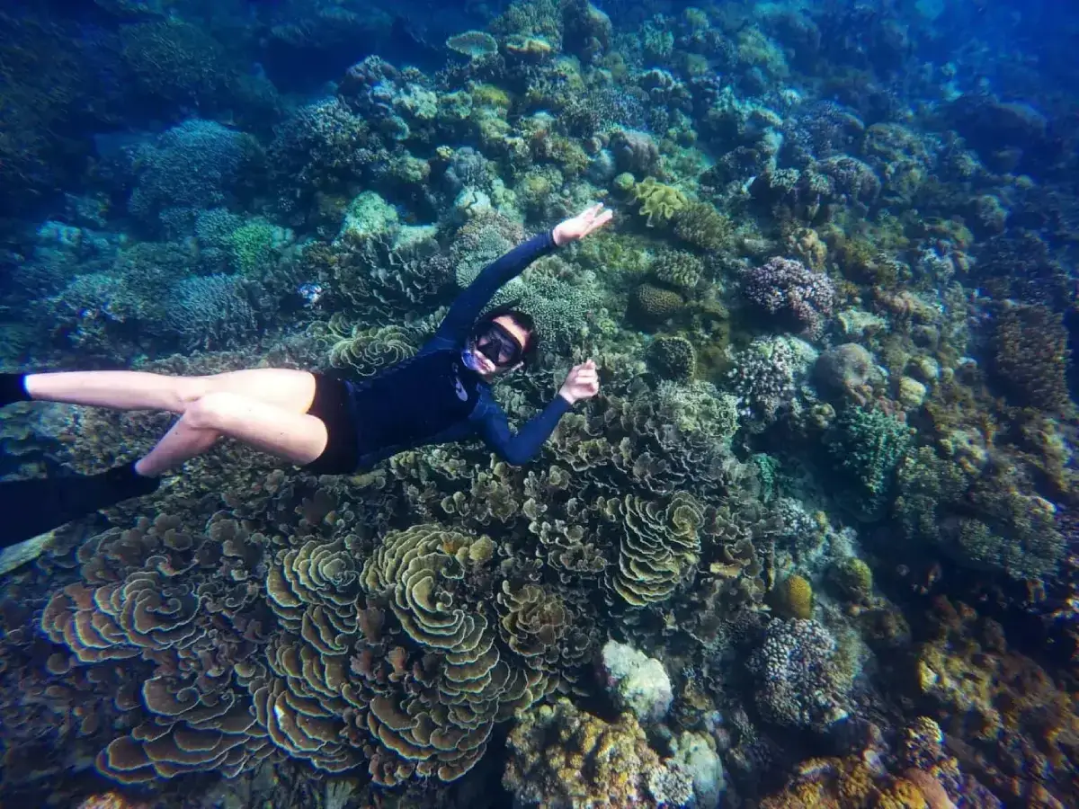 Female diver under sea by coral reef