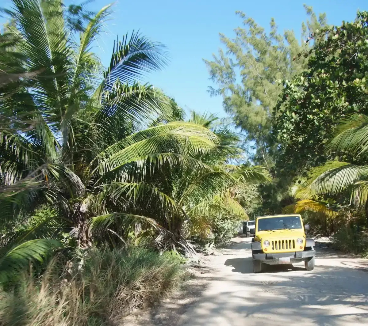 Yellow car on a tropical road